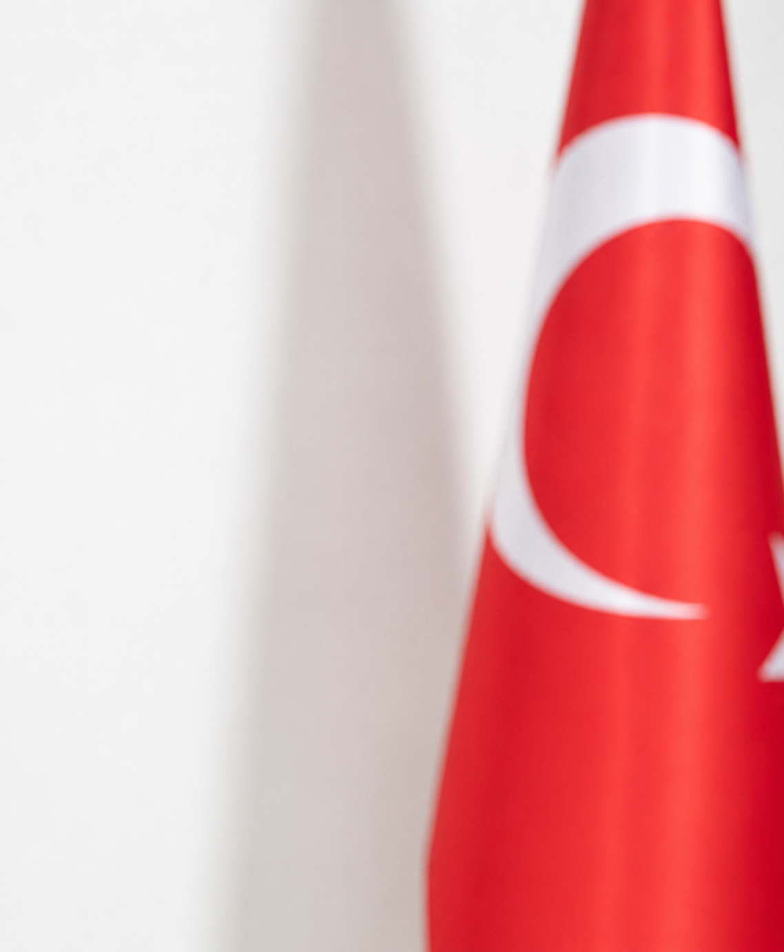 Yönetim Kurulu Üyesi